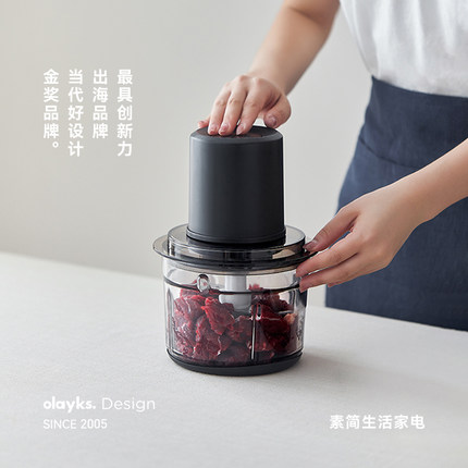 olayks立时绞肉机家用小型电动碎肉打馅蒜泥多功能全自动搅拌机