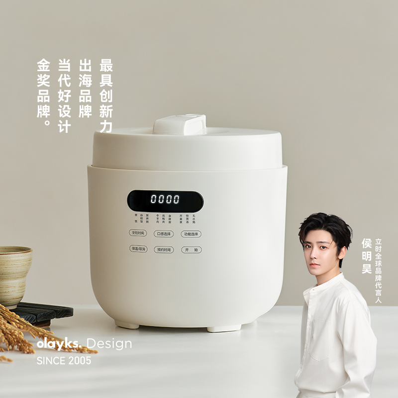 olayks陶瓷釉日本5L容量电压力锅