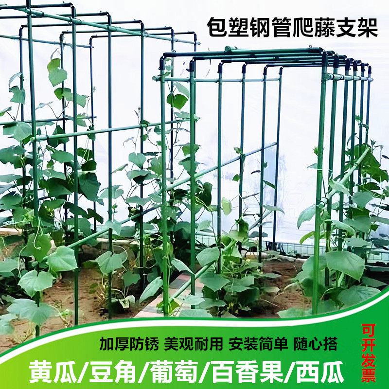 门型架包塑钢管爬藤支架户外园艺花架组装式果蔬葡萄百香果支撑架图片
