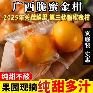 广西融安第三代脆蜜金柑金桔纯甜无酸无籽新鲜摘礼盒脆蜜产地直发