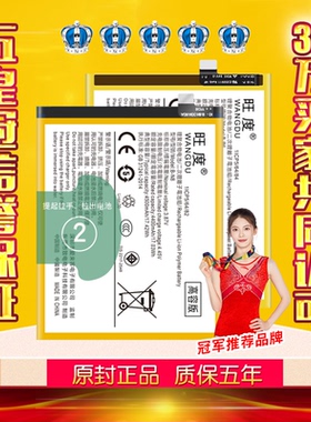 适用于VIVO S9电池S9E原装vivos9e正品V2048A内置B-P9电板B-P6