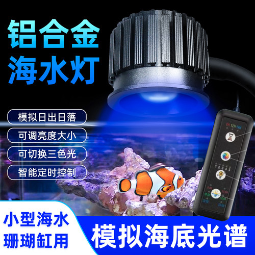 海水珊瑚灯海水灯日出日落