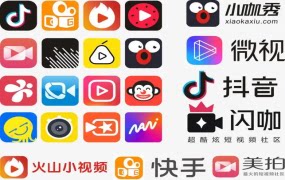 抖音快手微博B站小红书视频无水商务服务