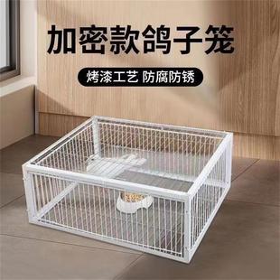 新款超密U型只进不出笼户外家庭养殖天落兔笼鸽子撞门笼鸡镀锌笼