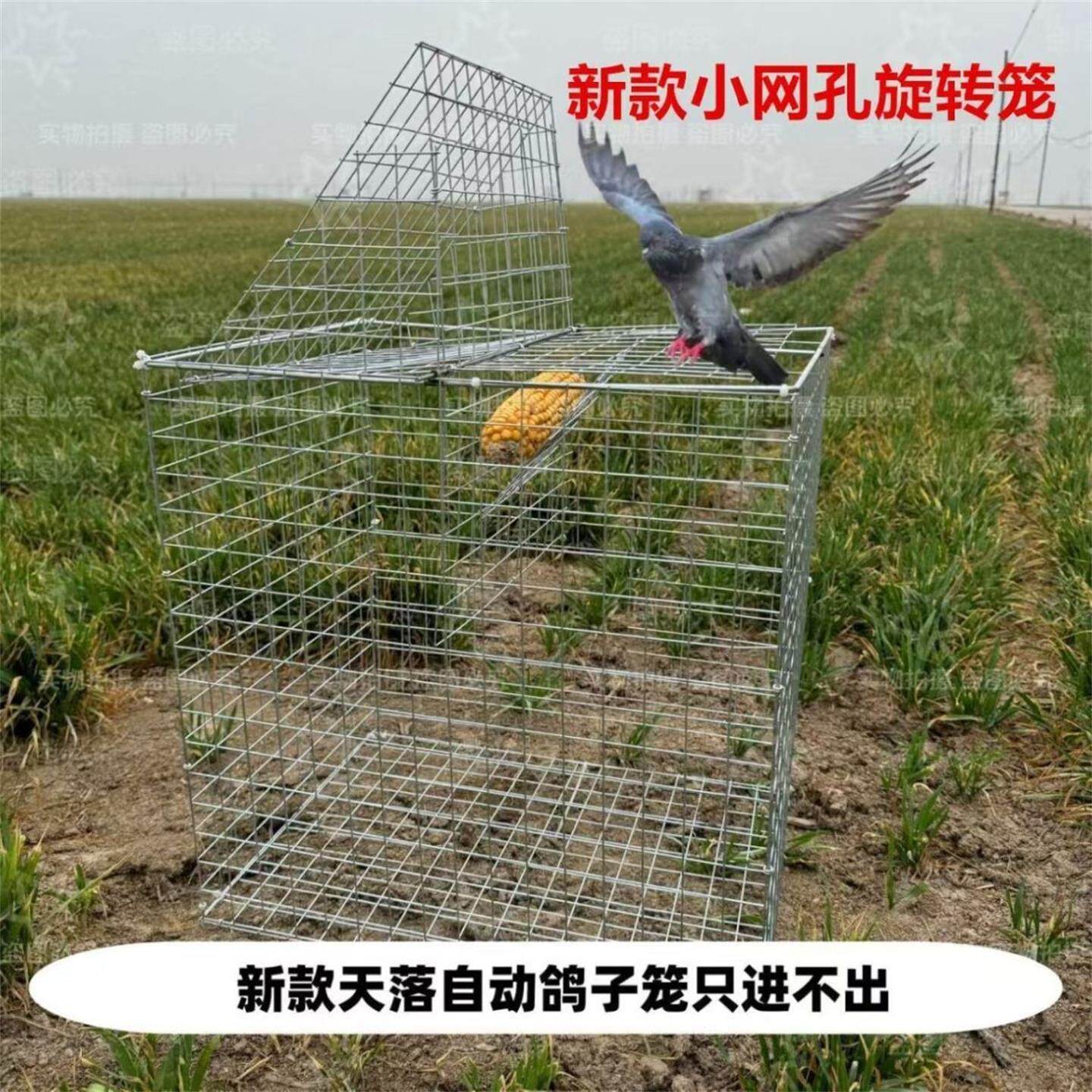 2025新款进鸟笼升级版户外自动踏板笼DIY鸽笼大号镀锌材料拍雀笼