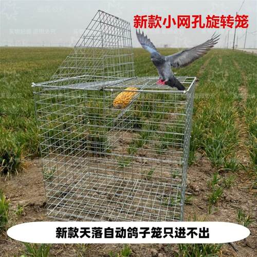 2025新款户外自动踏板鸽笼镀锌