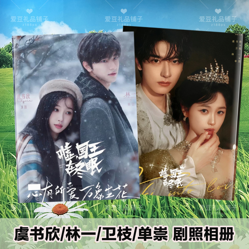 嘘国王在冬眠剧照相册虞书欣卫枝林一单崇写真制作册明星周边画册