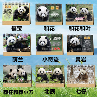大熊猫台历挂历福宝萌兰和花和叶渝可渝爱灵岩小奇迹2026年日历