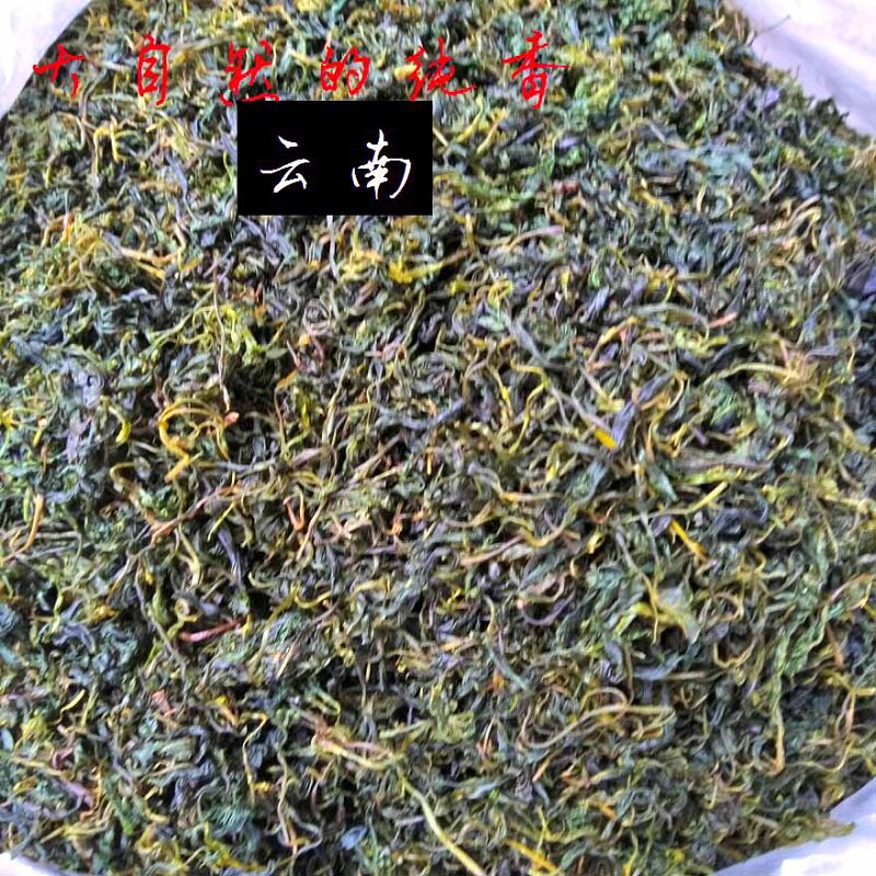 云南永善小叶子苦丁茶昭通农家野生嫩芽苦丁茶散装高山绿茶500g