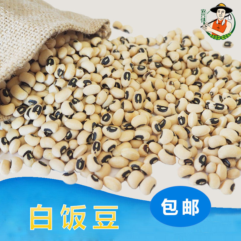 黑嘴眉豆  黑眼豆 五谷杂粮  白饭豆500g一斤 包邮