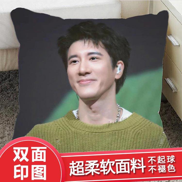 王力宏抱枕双面照片写真海报周边天地龙鳞同款玩偶娃娃小摆件女生