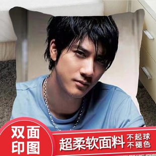 王力宏专辑海报周边抱枕玩偶公仔靠垫同款墙贴纸摆件房间客厅沙发