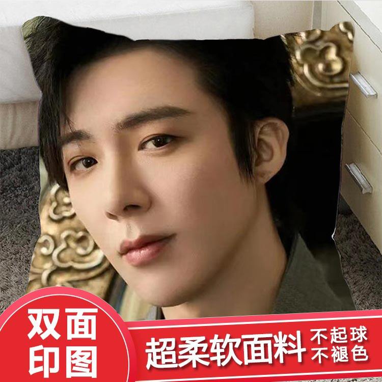 刘宇宁抱枕玩偶公仔宿舍靠枕简约现代摆件学院风好看创意生日礼物