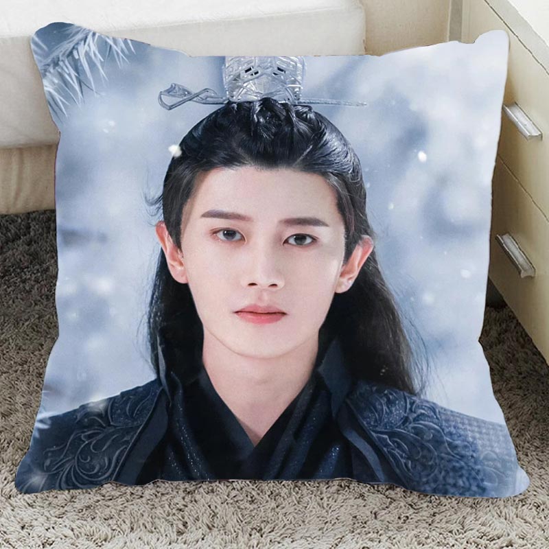 明星周边任嘉伦公仔玩偶抱枕双面靠垫桌上小摆件宿舍挂件周边女生