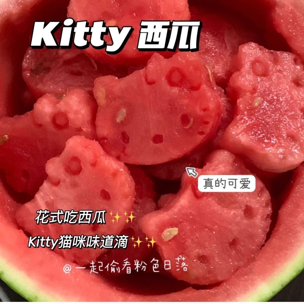 小红书kitty猫模具食品级西瓜饼干磨具家用烘培diy按压工具
