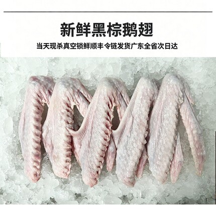 新鲜黑棕鹅大鹅翅膀现杀生鹅肉卤味掌亦鹅 烤鹅翅 烧烤食材卤水