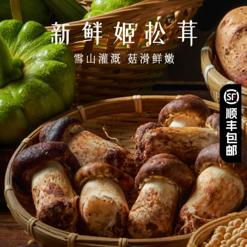 新鲜姬松茸林下新鲜菌菇
