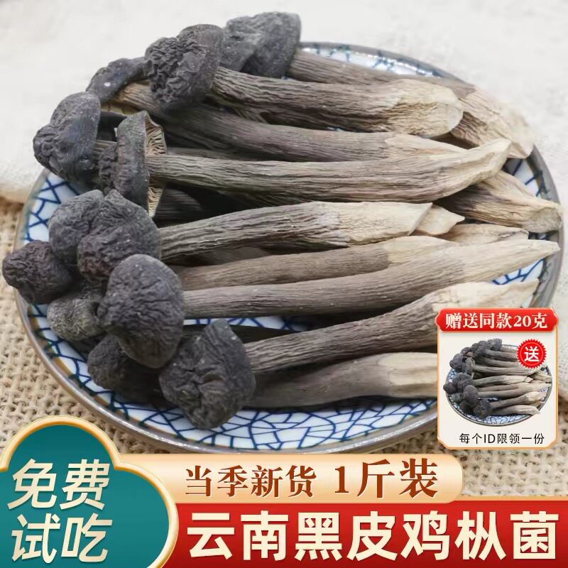 云南鸡枞菌黑皮鸡枞特产山货干货菌菇蘑菇野生菌煲汤火锅食材
