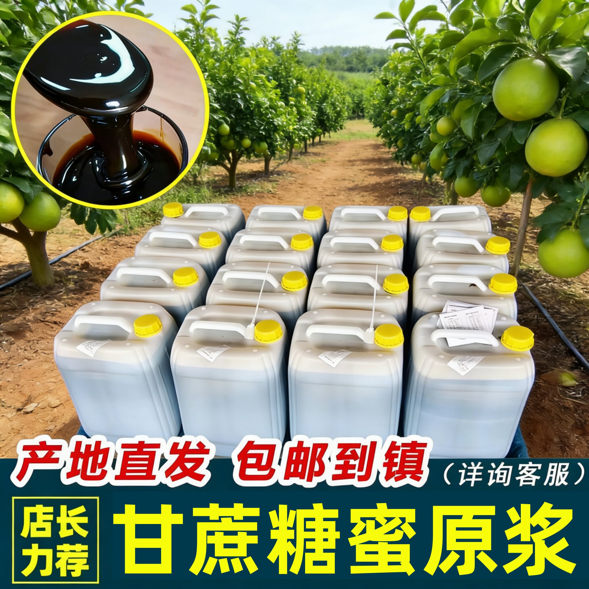 广西甘蔗糖蜜农业水产畜牧养殖用