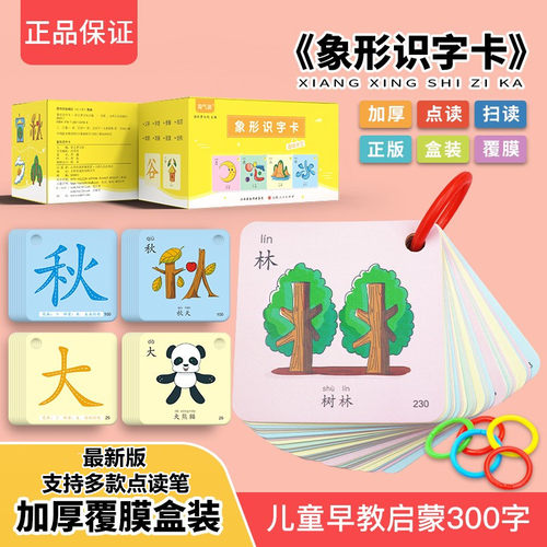 宝识字卡片300幼儿园学龄