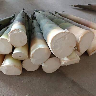 硬头黄竹笋慈竹绵竹麻竹四川宜宾竹海特产新鲜蔬菜现挖发货包邮