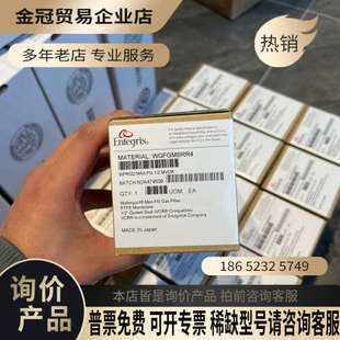 请询价：美国WG2FT1RR2过滤器英特格entegris