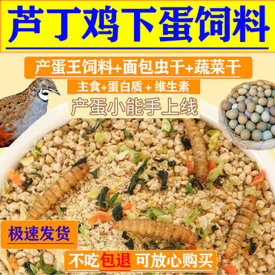 芦丁鸡专用饲料面包虫蔬菜干小鸡产蛋下蛋食料高产蛋鹌鹑卢丁鸡粮