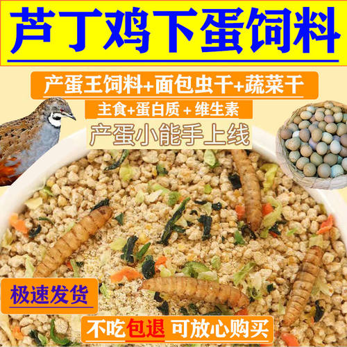 芦丁鸡专用饲料面包虫蔬菜干小鸡产蛋下蛋食料高产蛋鹌鹑卢丁鸡粮