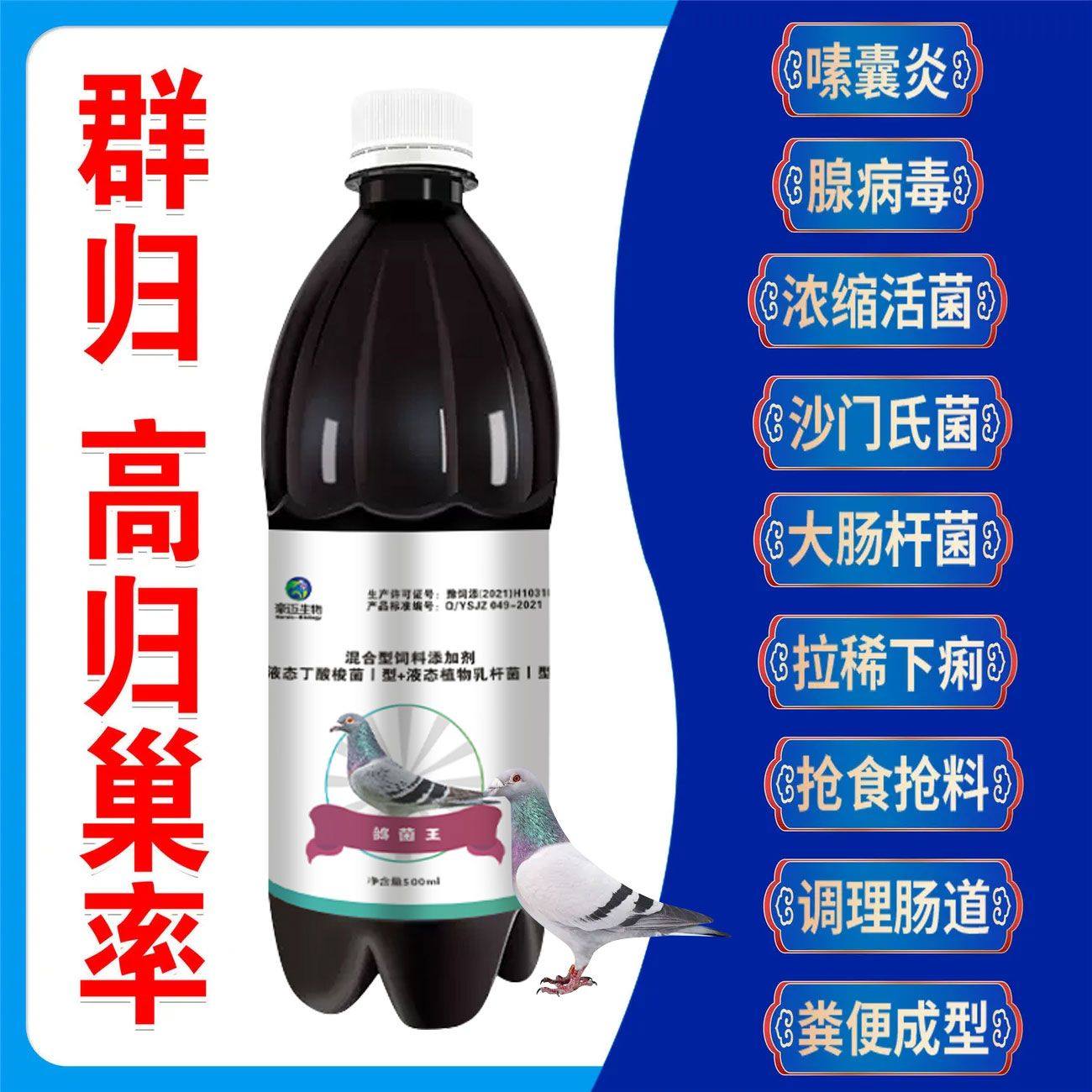 调理肠道嗉囊炎腺拉稀鸽鹦鹉