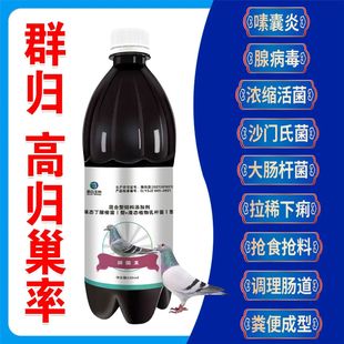 鸽菌王鸽子常用药调理肠道嗉囊炎腺病毒大肠杆菌拉稀鸽鹦鹉鸟通用