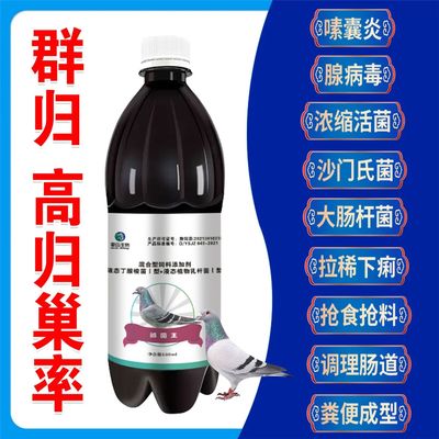 调理肠道嗉囊炎腺拉稀鸽鹦鹉