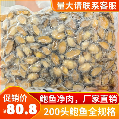200头小鲍鱼肉鲍鱼仔冷冻去壳去内脏串串烧烤火锅食材佛跳墙包邮