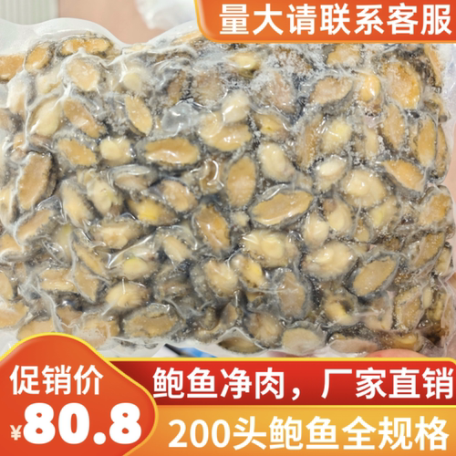 200头小鲍鱼肉鲍鱼仔冷冻去壳去内脏串串烧烤火锅食材佛跳墙包邮