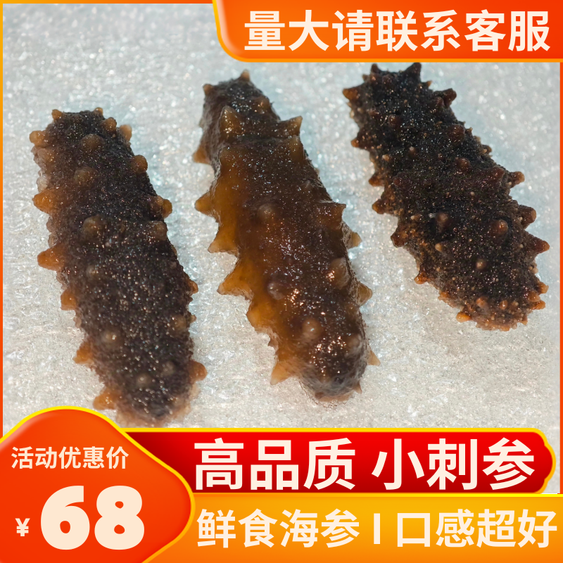 高品质鲜冻海参辽刺参新鲜海参非干货即食海叁水产酒店餐厅特色菜