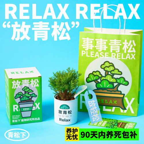 放青松创意植物盆栽礼盒套装