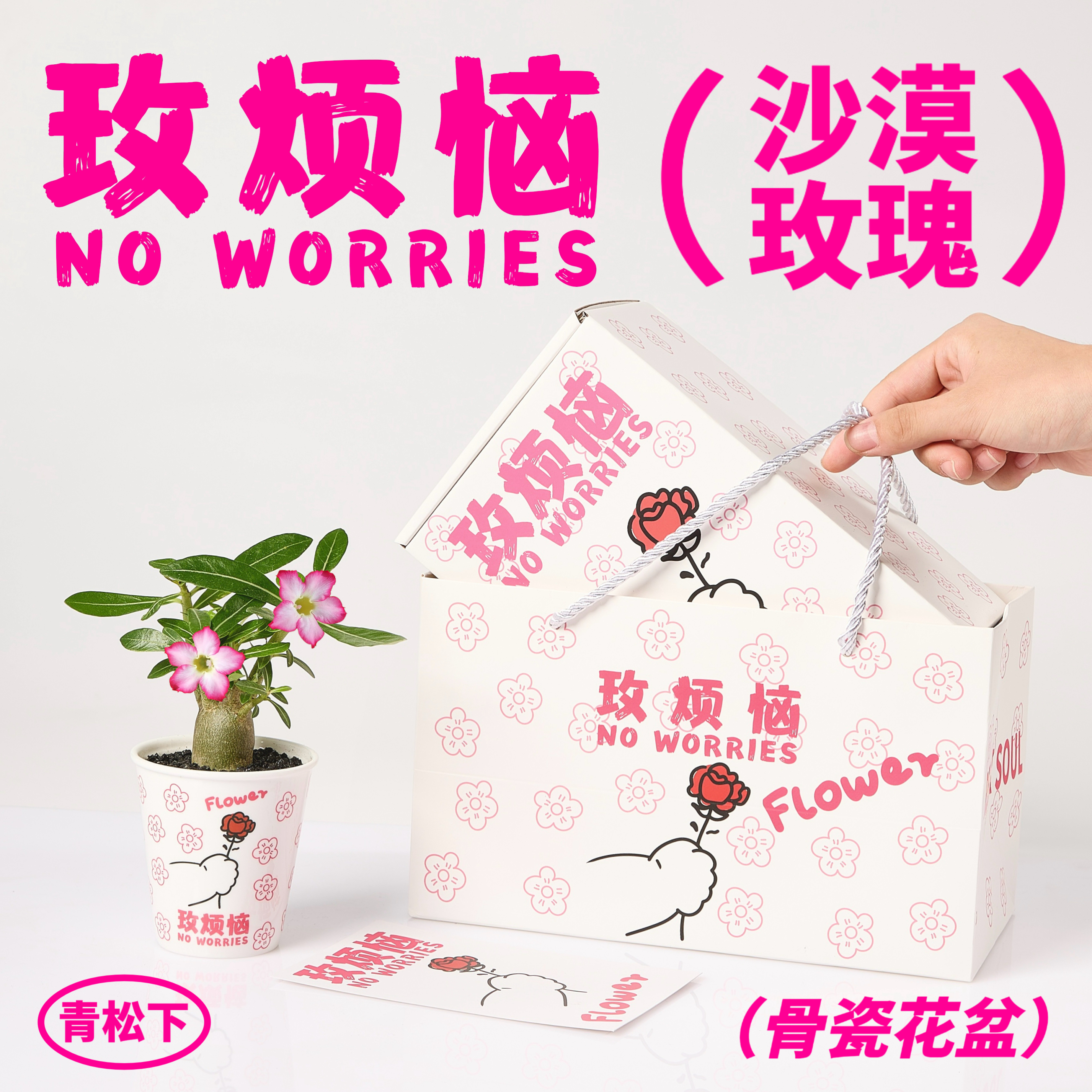 玫烦恼沙漠玫瑰创意盆栽