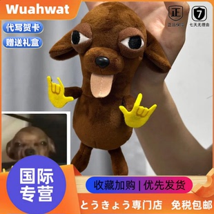 日本Wuahwat变种吉娃娃周边Rua肯肉摇滚小狗毛绒公仔玩偶娃娃礼物