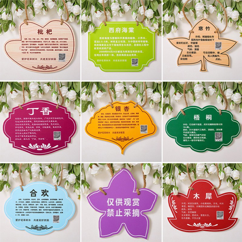 树牌提示牌亚克力植树节花草悬挂铭牌认养介绍植物标识牌设计学校