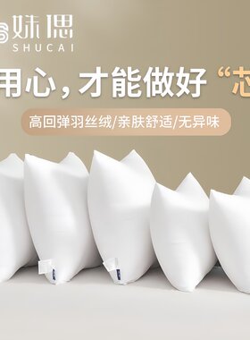 姝偲客厅沙发抱枕芯靠垫芯内胆芯