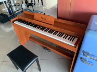 Rageman拉格曼数码电钢琴88键重锤键智能电钢琴58812型号