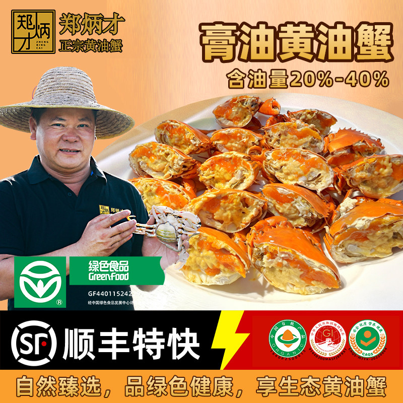 膏油黄油蟹海蟹咸淡螃蟹青蟹膏油蟹特大鲜活青蟹郑炳才黄油蟹1只
