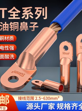 DT国标铜鼻子紫铜接线端子镀锡堵油线耳接头10/16/25/35/50平方