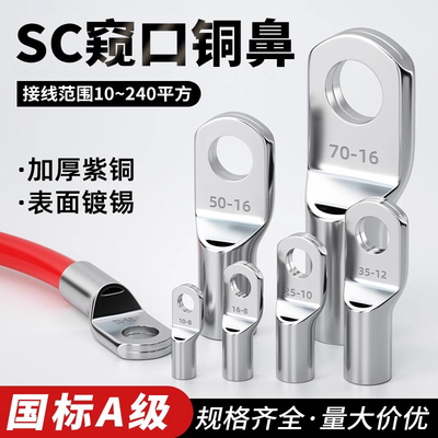 国标SC窥口鼻子接线端子