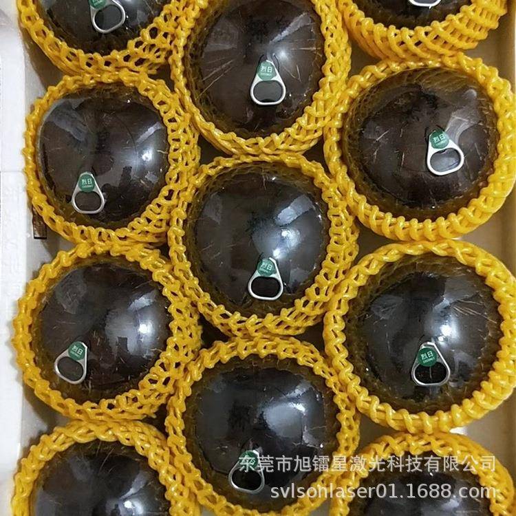 厂家直供!椰子开盖机 椰皇拉环开口激光切割机设备 易拉开