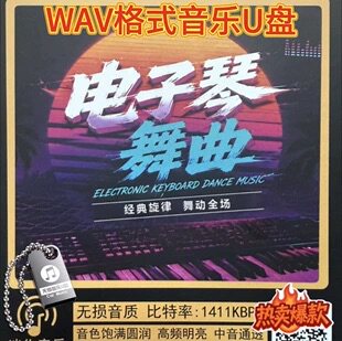 电子琴DJ舞曲经典老歌画你搀扶车载音乐U盘