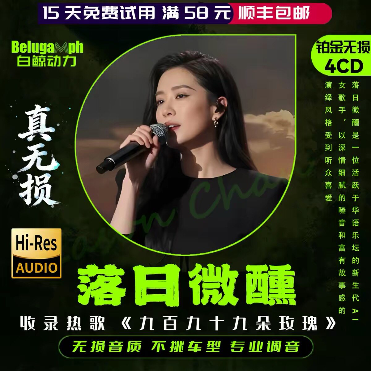 落日微醺一生有你抖音老歌翻唱全车载音乐U盘