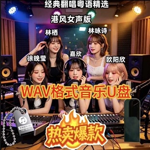 嘉欣林栖林咏诗欧阳欣徐晚莹经典粤语翻唱老歌归来吧车载音乐U盘