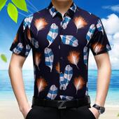 T年短袖 年翻领夏季 衬衫 桑蚕丝薄款 透男气真衣丝花衬 款 中中老211