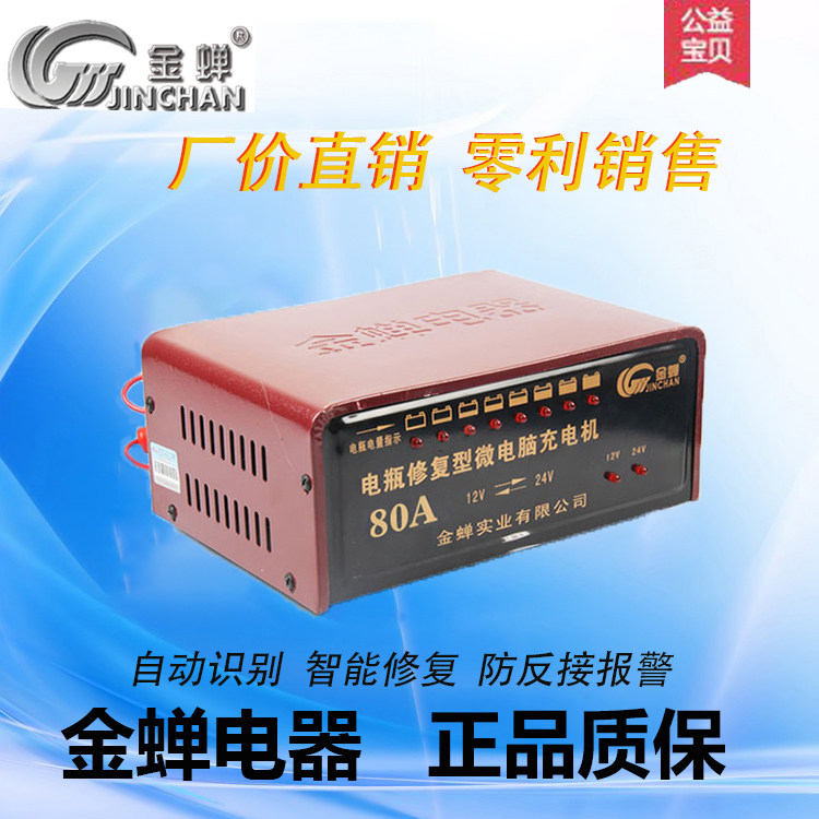 金蝉充电器测试推荐12V24V通用型