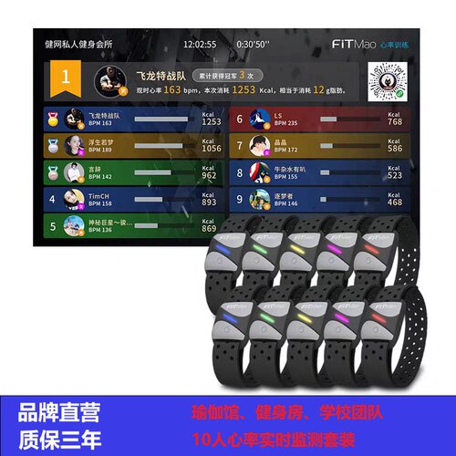 飞猫智能手环心率监测团队套装
